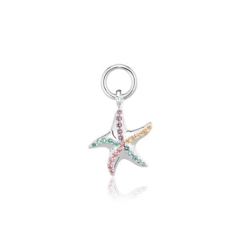 STELLA MARINA CHAM star fish M
