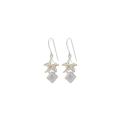 Sterling Silver Earring With Rainbowmoon Stone