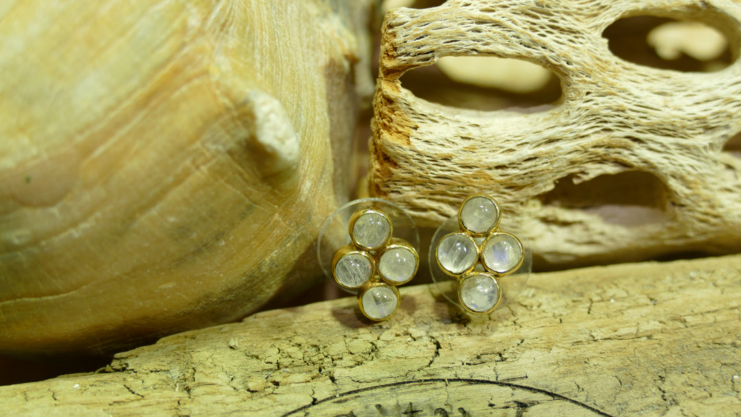 SS & 22k verm earrings w/ Rain