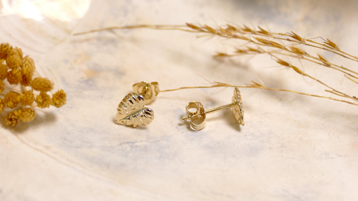 14k - Yellow Gold Monstra Leaf Stud Earrings