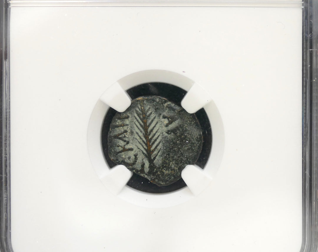 Judaea 59-62 AE Prutah