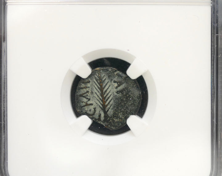 Judaea 59-62 AE Prutah