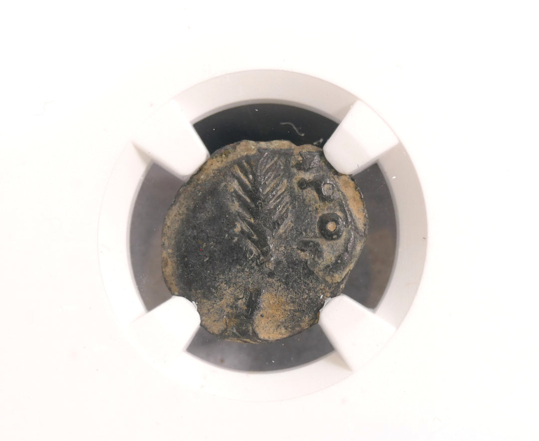 Judaea 59-62 AE Prutah Mint