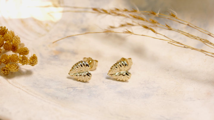 14k - Yellow Gold Monstra Leaf Stud Earrings