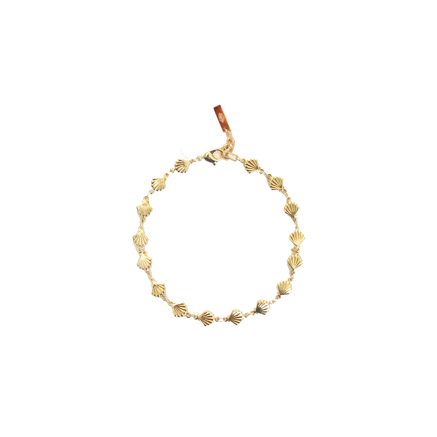 Adriana Pappas -  - 14K Gold Filled Shell Chain Anklet 6.25-8"