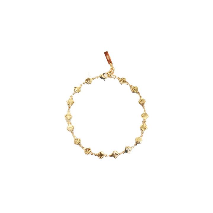 Adriana Pappas -  - 14K Gold Filled Shell Chain Anklet 6.25-8"
