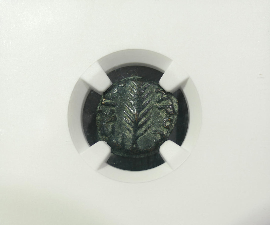 Judean Prutah AD 59-62 VF