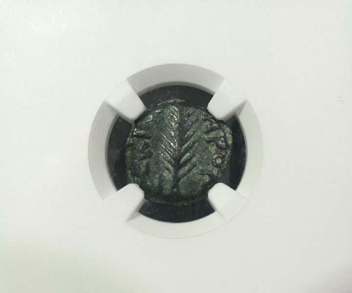 Judean Prutah AD 59-62 VF