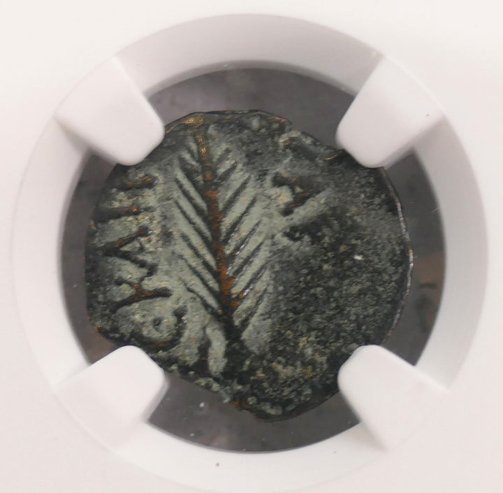 Judaea 59-62 AE Prutah