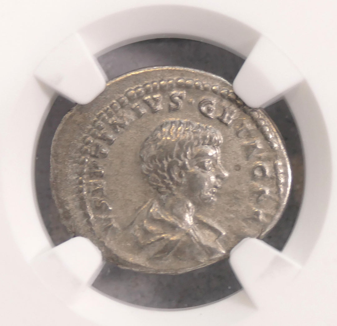 ROMAN 209-211 AD AR DENARIUS