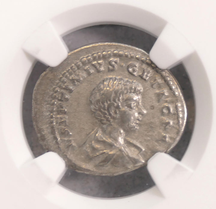 ROMAN 209-211 AD AR DENARIUS