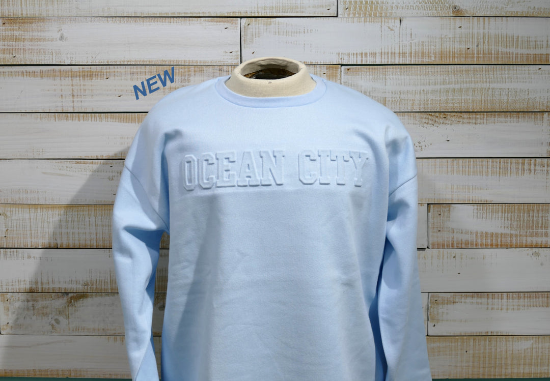 Long Sleeve Crew Neck Sweatshirt - Light Blue (Medium)
