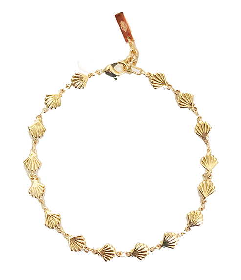 Adriana Pappas - Brass - 14K Gold Filled Shell Chain Necklace 16-19"