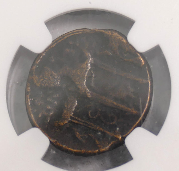 HIERON II THE BRONZE COIN SICILY 275-215 BC
