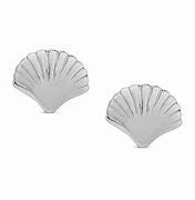 Seashell Stud Earrings in Ster