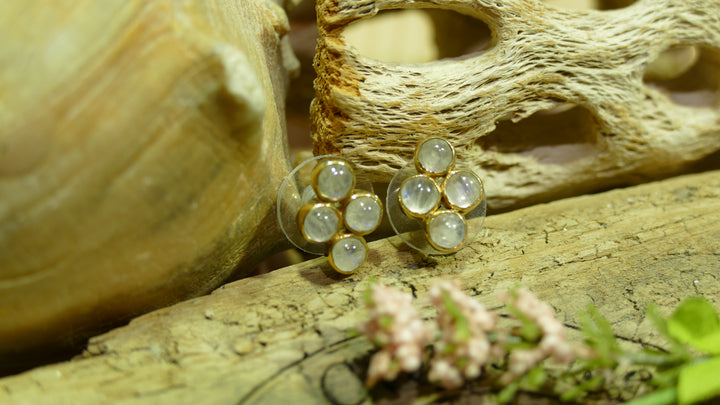 SS & 22k verm earrings w/ Rain